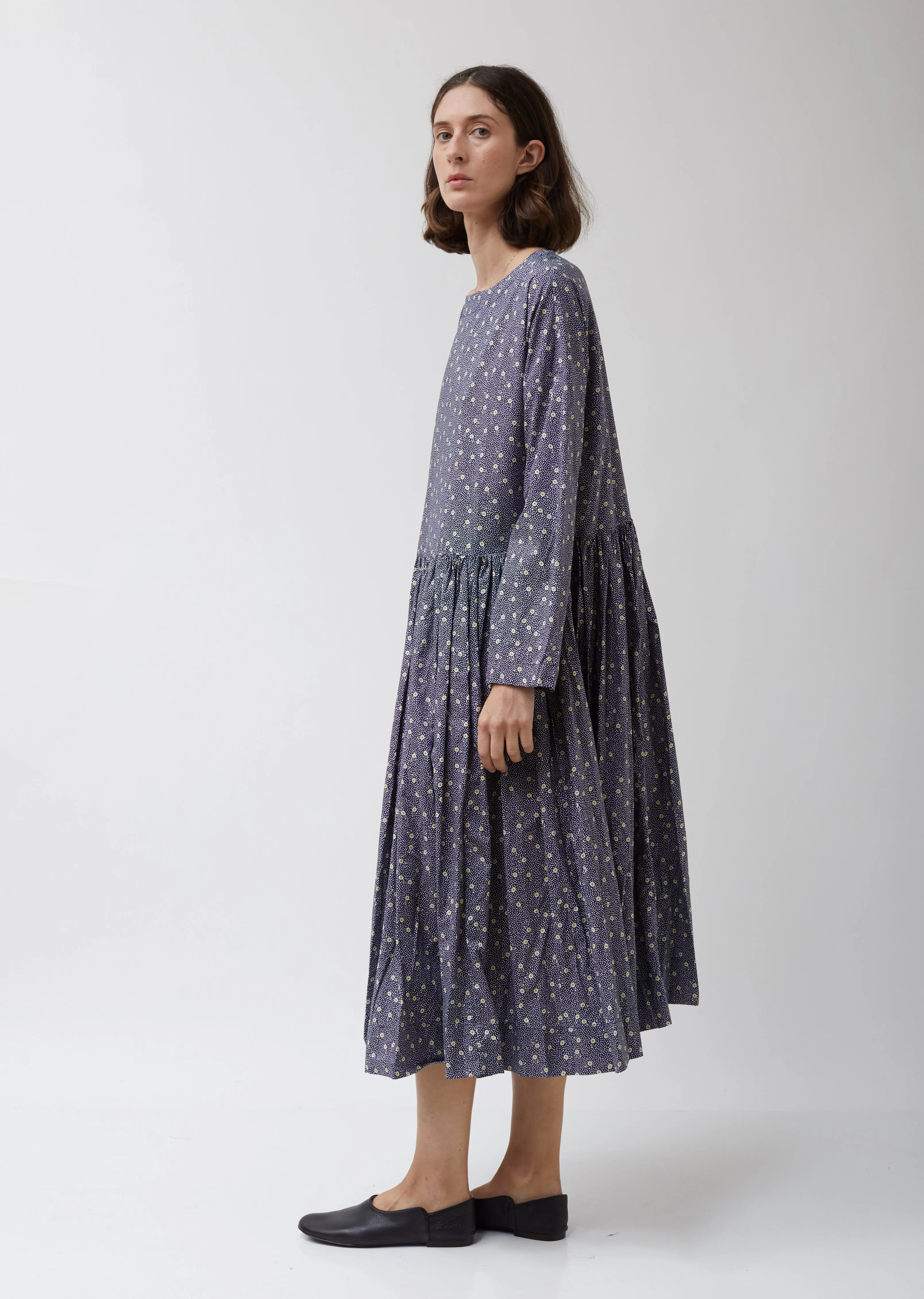 Pasha Rouch Dress in Point Floral